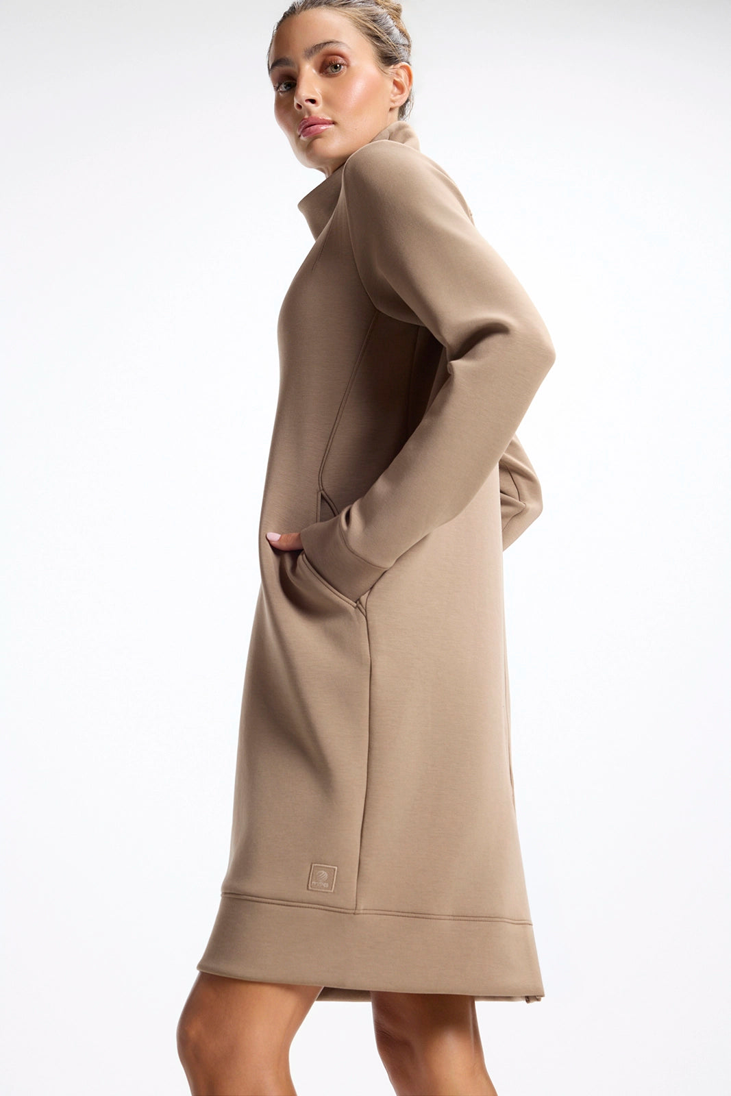 Dreamweave™ Long Sleeve Mock Neck Dress - Caribou
