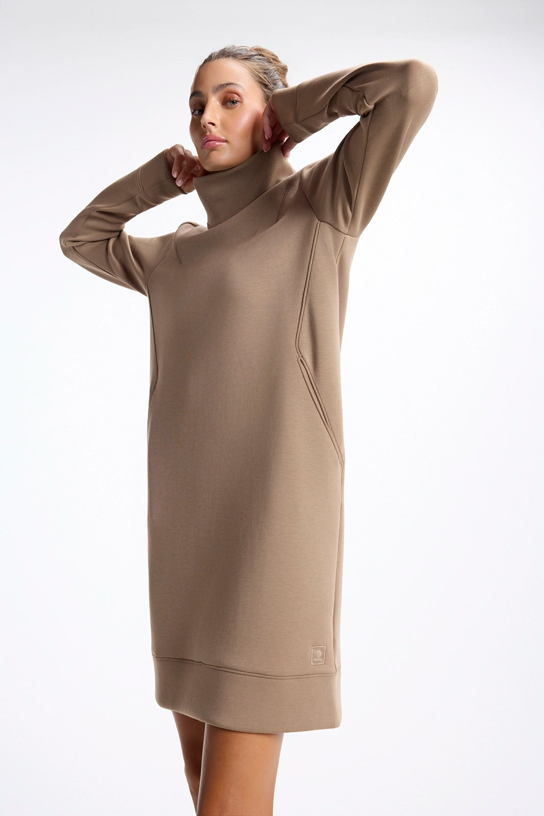 Dreamweave™ Long Sleeve Mock Neck Dress - Caribou